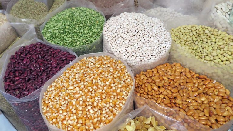 Les légumineuses : une merveille nutritionnelle.