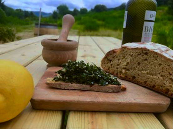 Pesto aux orties