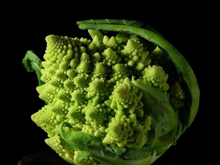 Romanesco pasta
