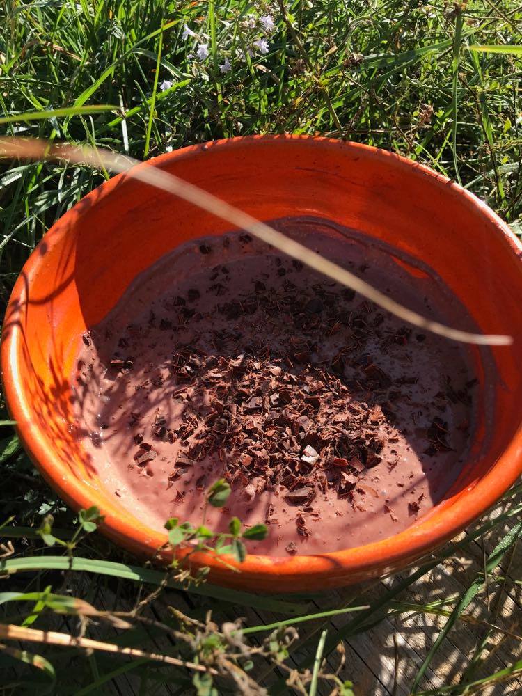 Crème au chocolat et tofu soyeux