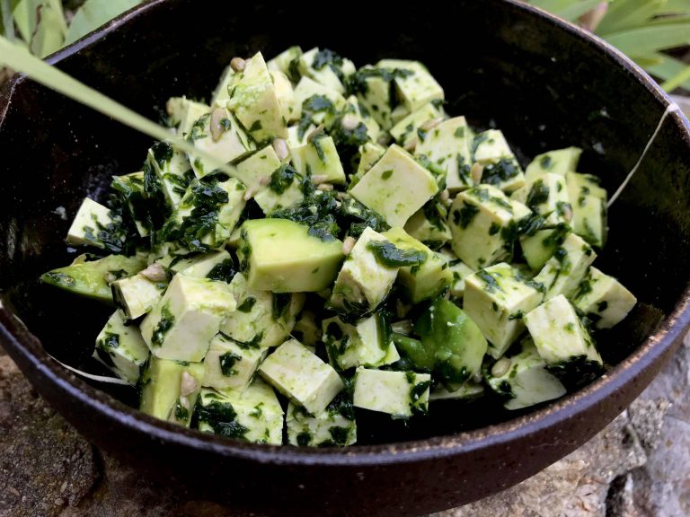 Tofu lactofermenté à l&rsquo;avocat et à l&rsquo;ail des ours